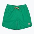 Vaikiški maudymosi šortai Quiksilver Everyday Volley 14" leprechaun