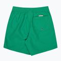 Vaikiški maudymosi šortai Quiksilver Everyday Volley 14" leprechaun 2