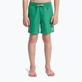 Vaikiški maudymosi šortai Quiksilver Everyday Volley 14" leprechaun 3