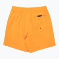 Vaikiški maudymosi šortai Quiksilver Everyday Volley 14" radiant yellow 2