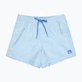 Vyriški maudymosi šortai Quiksilver Everyday Solid Volley 15" omphalodes