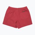 Vyriški maudymosi šortai Quiksilver Everyday Solid Volley 15" burnt russet 2