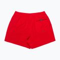 Vyriški maudymosi šortai Quiksilver Everyday Solid Volley 15" salsa 2