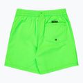 Vaikiški maudymosi šortai Quiksilver Everyday Volley 14" green gecko 2