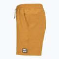 Vyriški maudymosi šortai Billabong Every Other Day Layback spice gold 3