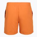 Vyriški maudymosi šortai Billabong All Day Layback clay orange 2