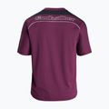 Vyriški plaukimo marškinėliai Quiksilver Mercury Americana Surf potent purple 6