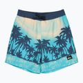 Vaikiški maudymosi šortai Quiksilver Everyday Printed Volley 14" aqua thermotropics