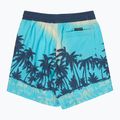 Vaikiški maudymosi šortai Quiksilver Everyday Printed Volley 14" aqua thermotropics 2