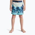 Vaikiški maudymosi šortai Quiksilver Everyday Printed Volley 14" aqua thermotropics 3