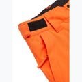 Vaikiškos snieglenčių kelnės Quiksilver Estate vermillon 9