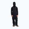 Vyrų snieglenčių kelnės Quiksilver Paramo Stretch 20K Bib black