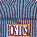 Žieminė kepurė DC Two Thread Beanie fig 3