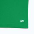 Teniso polo marškinėliai Lacoste Polo DH2568 fluorine green/sinople 9