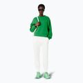 Moteriškas džemperis Lacoste SF5614 calathea 2