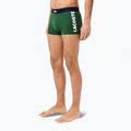 Vyriškos trumpikės Lacoste 5H1291 3-pak thyme/navy blue/white 3