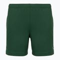 Vyriški teniso šortai Lacoste GH0138 green