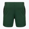 Vyriški teniso šortai Lacoste GH0138 green 2