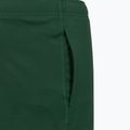 Vyriški teniso šortai Lacoste GH0138 green 5