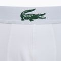 Vyriškos trumpikės Lacoste 5H5441 3 pack white/green/black 6