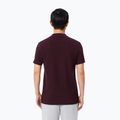 Vyriški polo marškinėliai Lacoste Polo DH5522 oxalis 3