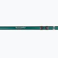 Meškerė Abu Garcia Beast X Pike 842 H 4