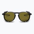 Akiniai nuo saulės Julbo Millenium Reactiv Polarized shiny translucent black/black/white 4
