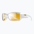 Akiniai nuo saulės Julbo Reactive Performance 2-4 zebra/blanc brilliant