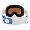 Slidinėjimo akiniai Julbo Proxima Spectron white/ flash gold 3