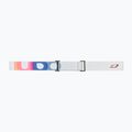 Slidinėjimo akiniai Julbo Proxima Spectron white/ flash gold 4