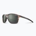 Akiniai nuo saulės Julbo Compass Polarized brown translucent brillant/army dark