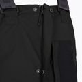 Vyriškos slidinėjimo kelnės Picture Testy BIB 10/10 black 11