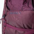 BLUE ICE Warthog Pack 40 l turistinė kuprinė winetasting 7