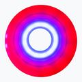Ratukai riedučiams Luminous Led Wheels Duo 72mm/85A X4 red/blue 4