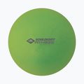 Schildkröt Pilatesball žalias 960132 23 cm