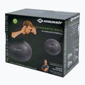 Schildkröt Gimnastikos pilkas kamuolys 960158 85 cm 2