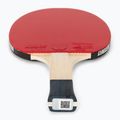 Drugelio formos stalo teniso raketė Timo Boll SG11 2