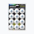 Stalo teniso kamuoliukai JOOLA Advanced Training 40+ 12 vnt. white