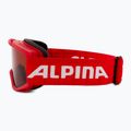 Alpina Piney red matiniai/oranžiniai vaikiški slidinėjimo akiniai 4