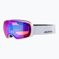 Alpina Granby Q-Lite balti blizgūs/mėlyni slidinėjimo akiniai 6