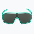 Akiniai nuo saulės Alpina Bonfire turquoise matt/green 2
