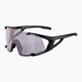 Akiniai nuo saulės Alpina Hawkeye Q-Lite V black matt/purple 5
