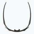 Akiniai nuo saulės Alpina Hawkeye Q-Lite black matt/silver mirror 6