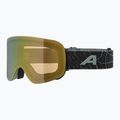 Slidinėjimo akiniai Alpina Penken Q-Lite willow/ green matt/ gold 5