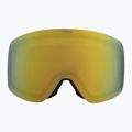 Slidinėjimo akiniai Alpina Penken Q-Lite willow/ green matt/ gold 6