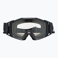 Dviračio akiniai Alpina Circus blackbird/ black/ clear 2