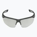 Akiniai nuo saulės Alpina Nylos HR black transparent matt/ clear 6