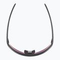Akiniai nuo saulės Alpina Turbo Pro S Q-Lite black metalic matt/ pink mirror 8