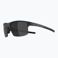 Saulės akiniai Alpina Eagle Q-Lite black matte/silver mirror 4