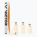 Badmintono skraidukai VICTOR Goldmaxima 12pcs